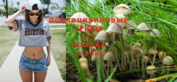 spice Арсеньев