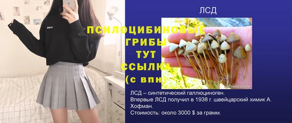 spice Арсеньев