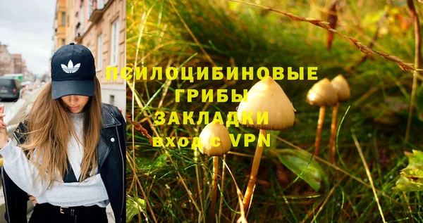 spice Арсеньев