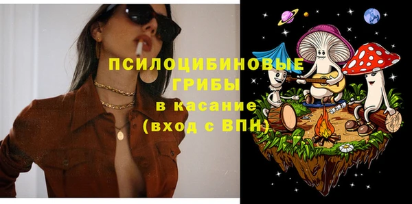 spice Арсеньев