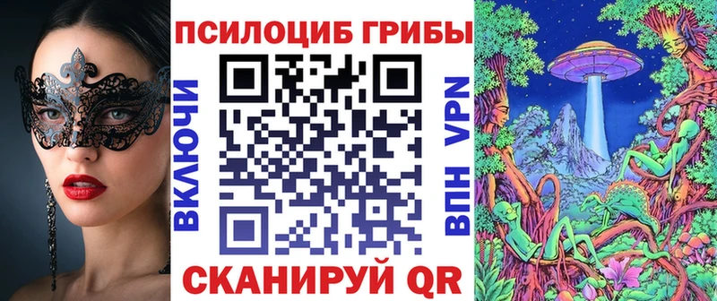купить   Сальск  Псилоцибиновые грибы ЛСД 